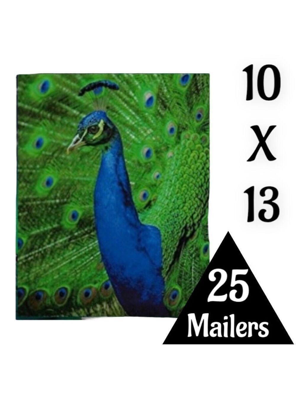 25 10X13 Poly Mailers Royal Peacock PRICE IS FIRM - Picture 7 of 13